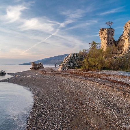 Kuca Za Odmor Jelena Villa Starigrad Paklenica Eksteriør billede