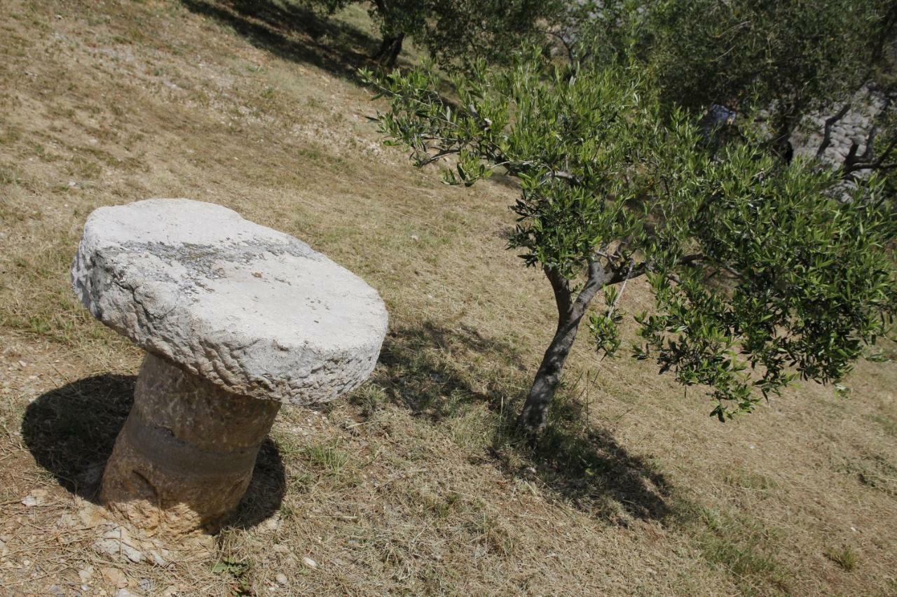Kuca Za Odmor Jelena Villa Starigrad Paklenica Eksteriør billede