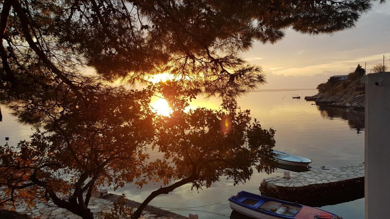 Kuca Za Odmor Jelena Villa Starigrad Paklenica Eksteriør billede